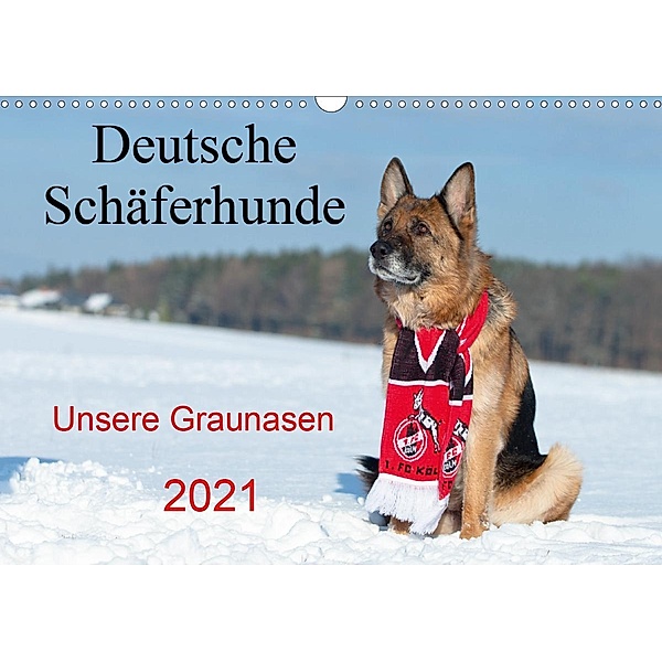 Deutsche Schäferhunde Unsere Graunasen (Wandkalender 2021 DIN A3 quer), Petra Schiller