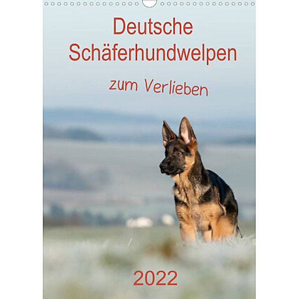 Deutsche Schäferhundwelpen zum Verlieben (Wandkalender 2022 DIN A3 hoch), Petra Schiller