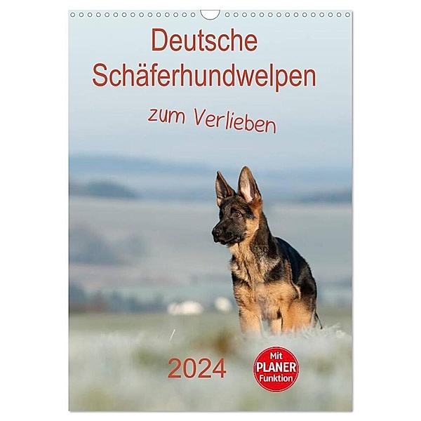 Deutsche Schäferhundwelpen zum Verlieben (Wandkalender 2024 DIN A3 hoch), CALVENDO Monatskalender, Petra Schiller