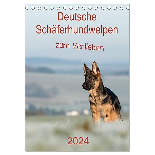 Deutsche Schäferhundwelpen zum Verlieben (Tischkalender 2024 DIN A5 hoch), CALVENDO Monatskalender, Petra Schiller