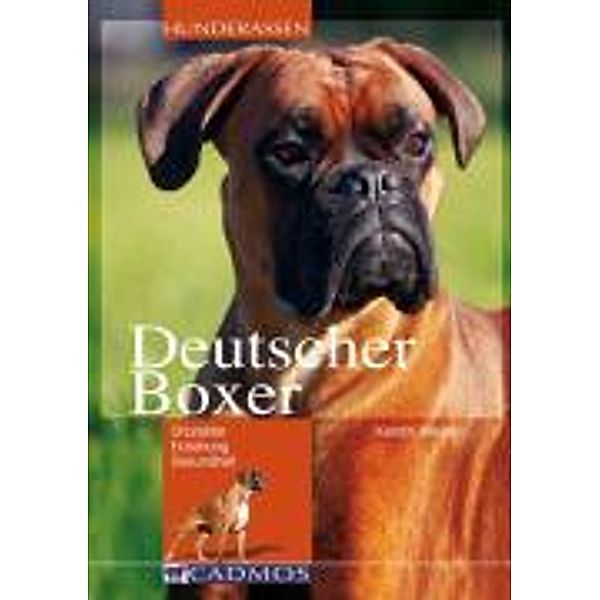 Deutscher Boxer Buch von Kerstin Mielke versandkostenfrei bei Weltbild.de