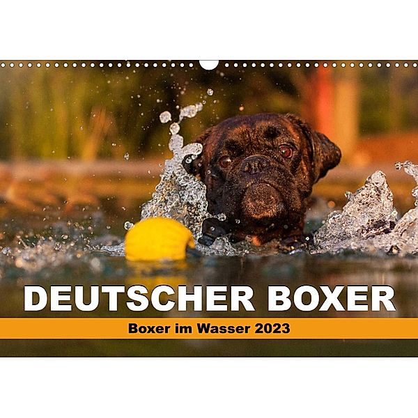 Deutscher Boxer - Boxer im Wasser 2023 (Wandkalender 2023 DIN A3 quer), Kerstin Mielke