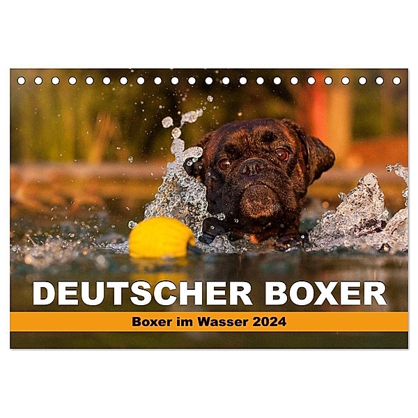 Deutscher Boxer - Boxer im Wasser 2024 (Tischkalender 2024 DIN A5 quer), CALVENDO Monatskalender, Kerstin Mielke