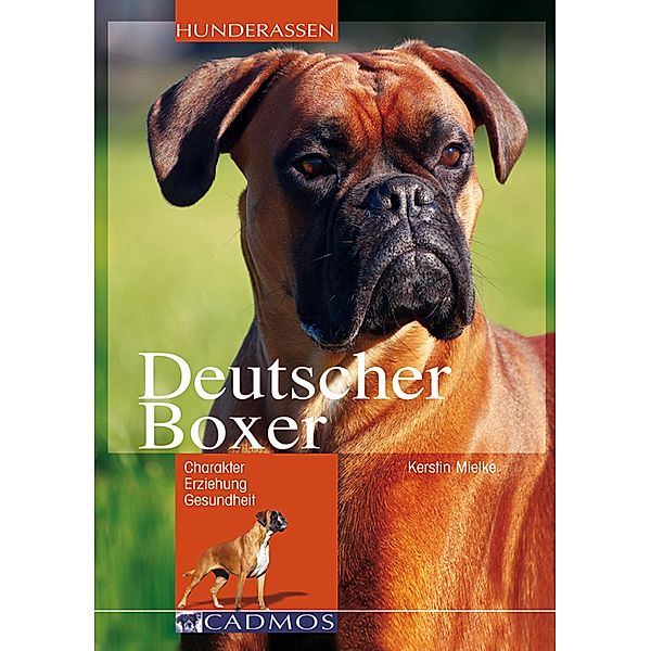 Deutscher Boxer / Hunderassen, Kerstin Mielke
