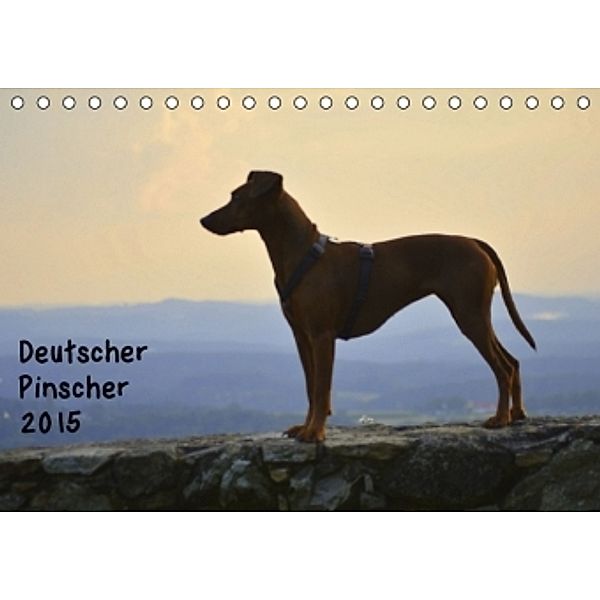 Deutscher PinscherAT-Version (Tischkalender 2015 DIN A5 quer), Ula Redl