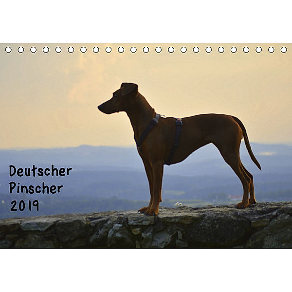Deutscher PinscherAT-Version (Tischkalender 2019 DIN A5 quer), Ula Redl