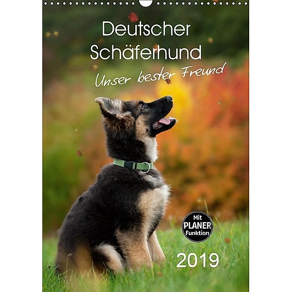 Deutscher Sch?ferhund - unser bester Freund (Wandkalender 2019 DIN A3 hoch), Petra Schiller