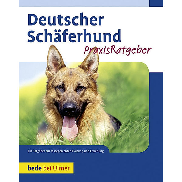 Deutscher Schäferhund, Susanne Samms