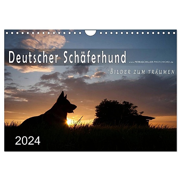 Deutscher Schäferhund / CH-Version (Wandkalender 2024 DIN A4 quer), CALVENDO Monatskalender, Petra Schiller