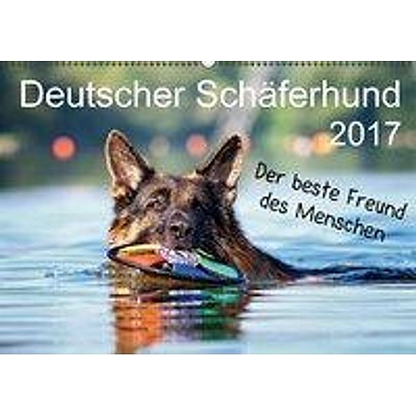 Deutscher Schäferhund - Der beste Freund des Menschen (Wandkalender 2017 DIN A2 quer), Petra Schiller