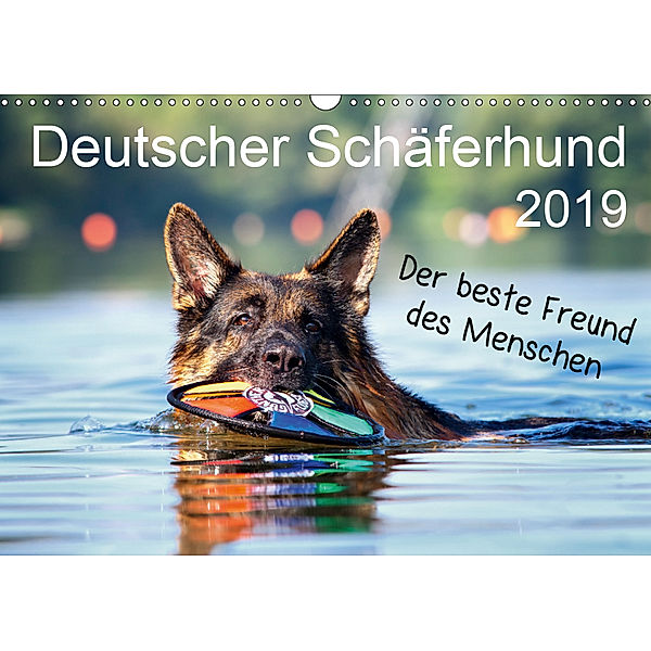 Deutscher Schäferhund - Der beste Freund des Menschen (Wandkalender 2019 DIN A3 quer), Petra Schiller