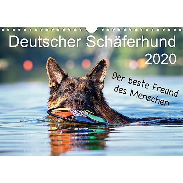 Deutscher Schäferhund - Der beste Freund des Menschen (Wandkalender 2020 DIN A4 quer), Petra Schiller