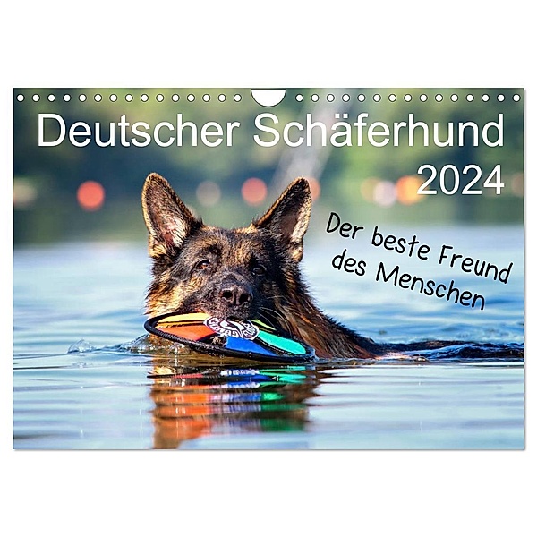 Deutscher Schäferhund - Der beste Freund des Menschen (Wandkalender 2024 DIN A4 quer), CALVENDO Monatskalender, Petra Schiller