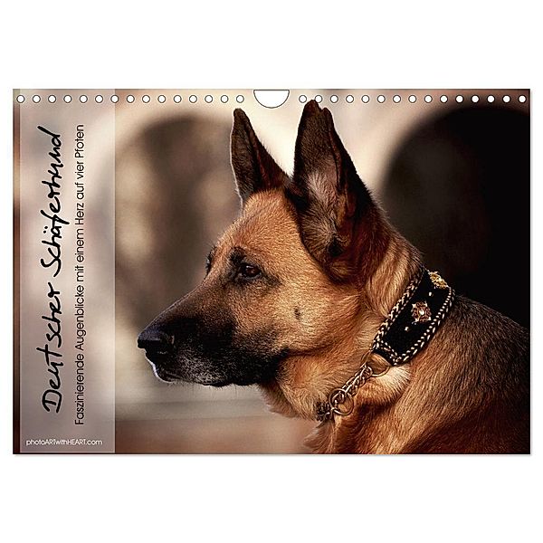 Deutscher Schäferhund - Faszinierende Augenblicke mit einem Herz auf vier Pfoten (Wandkalender 2024 DIN A4 quer), CALVENDO Monatskalender, photoARTwithHEART
