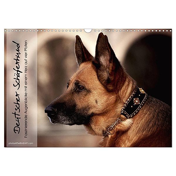 Deutscher Schäferhund - Faszinierende Augenblicke mit einem Herz auf vier Pfoten (Wandkalender 2024 DIN A3 quer), CALVENDO Monatskalender, photoARTwithHEART