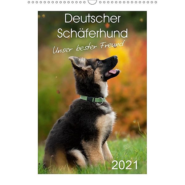 Deutscher Schäferhund - unser bester Freund (Wandkalender 2021 DIN A3 hoch), Petra Schiller