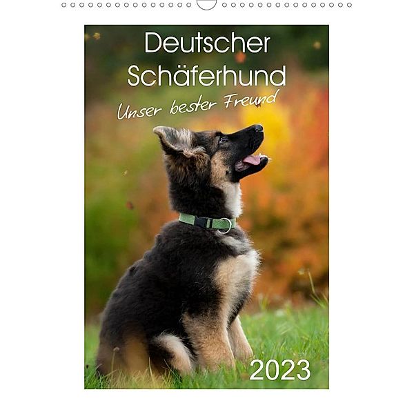 Deutscher Schäferhund - unser bester Freund (Wandkalender 2023 DIN A3 hoch), Petra Schiller