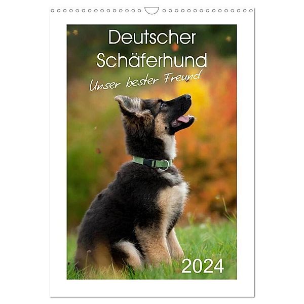 Deutscher Schäferhund - unser bester Freund (Wandkalender 2024 DIN A3 hoch), CALVENDO Monatskalender, Petra Schiller