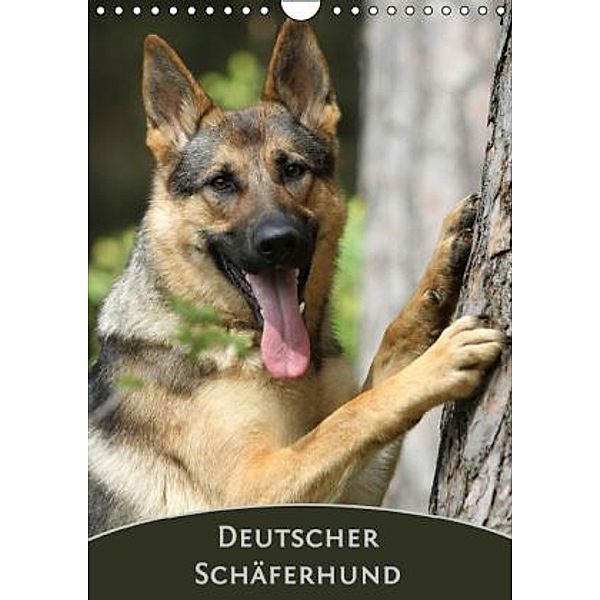 Deutscher Schäferhund (Wandkalender 2016 DIN A4 hoch), Claudia Steininger