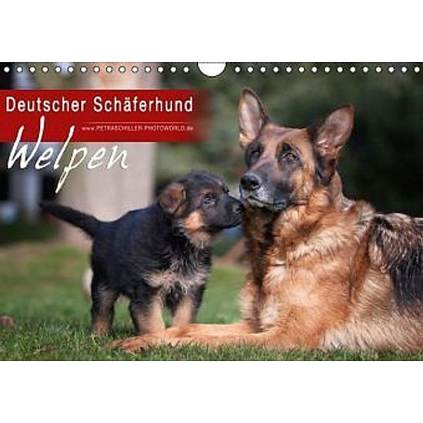 Deutscher Schäferhund - Welpen / CH-Version (Wandkalender 2016 DIN A4 quer), Petra Schiller