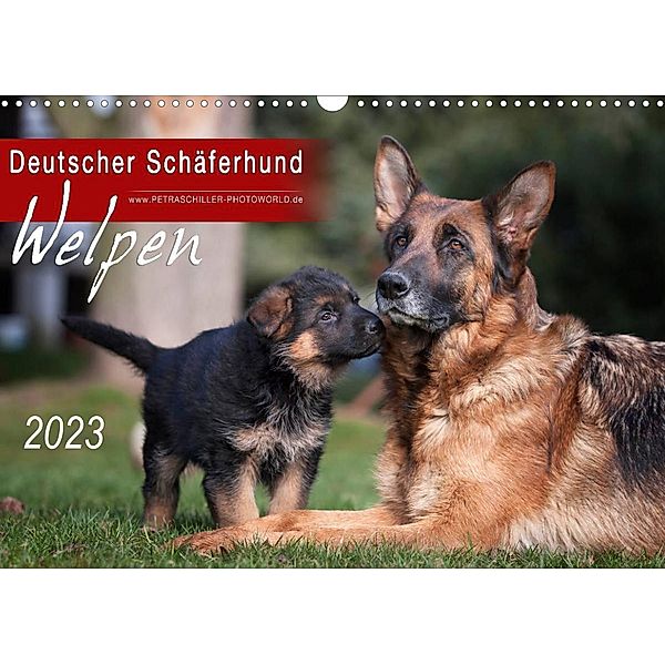 Deutscher Schäferhund - Welpen / CH-Version (Wandkalender 2023 DIN A3 quer), Petra Schiller
