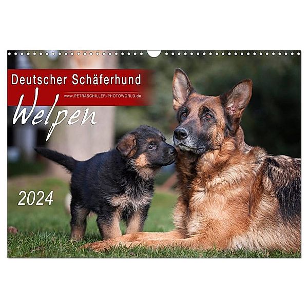 Deutscher Schäferhund - Welpen / CH-Version (Wandkalender 2024 DIN A3 quer), CALVENDO Monatskalender, Petra Schiller