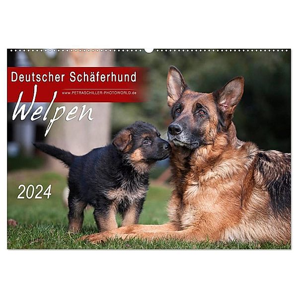Deutscher Schäferhund - Welpen / CH-Version (Wandkalender 2024 DIN A2 quer), CALVENDO Monatskalender, Petra Schiller