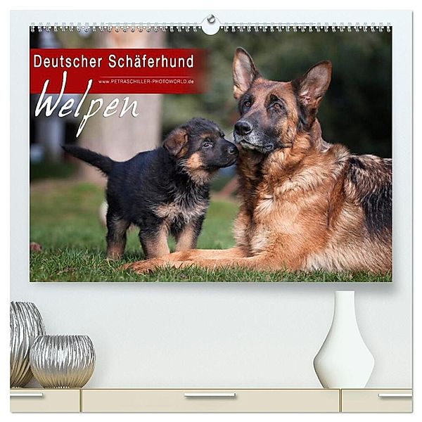 Deutscher Schäferhund - Welpen (hochwertiger Premium Wandkalender 2024 DIN A2 quer), Kunstdruck in Hochglanz, Petra Schiller