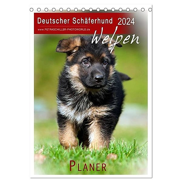 Deutscher Schäferhund - Welpen, Planer (Tischkalender 2024 DIN A5 hoch), CALVENDO Monatskalender, Petra Schiller