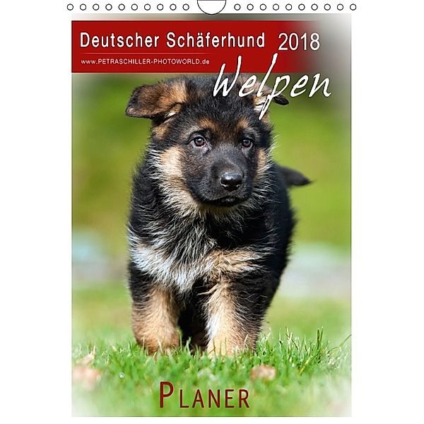 Deutscher Schäferhund - Welpen, Planer (Wandkalender 2018 DIN A4 hoch), Petra Schiller