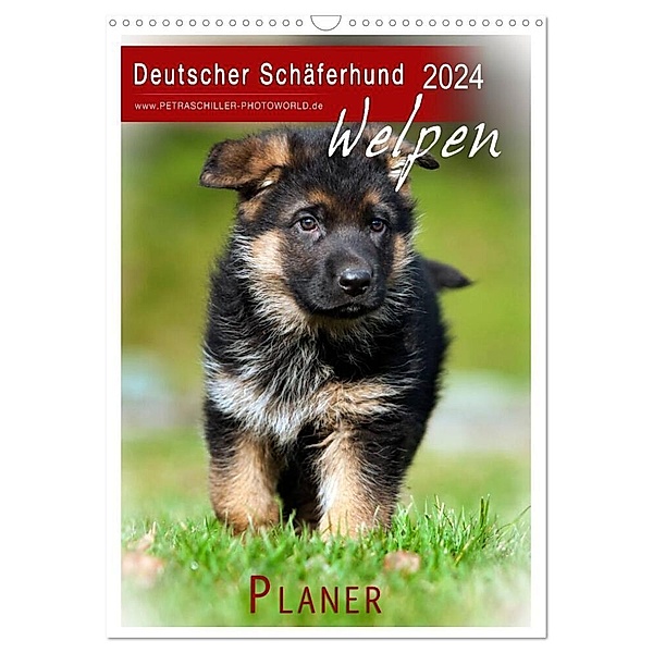 Deutscher Schäferhund - Welpen, Planer (Wandkalender 2024 DIN A3 hoch), CALVENDO Monatskalender, Petra Schiller