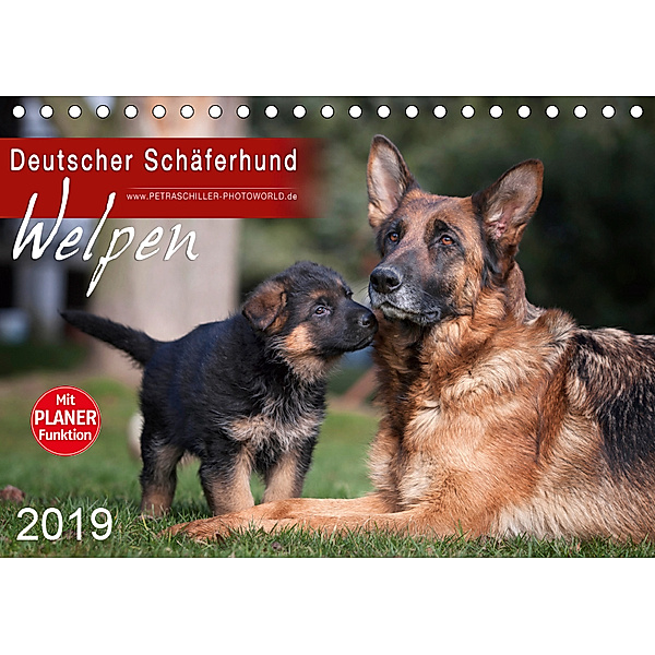 Deutscher Schäferhund - Welpen (Tischkalender 2019 DIN A5 quer), Petra Schiller