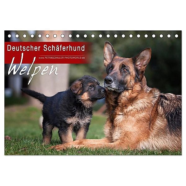 Deutscher Schäferhund - Welpen (Tischkalender 2024 DIN A5 quer), CALVENDO Monatskalender, Petra Schiller