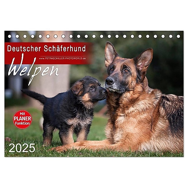 Deutscher Schäferhund - Welpen (Tischkalender 2025 DIN A5 quer), CALVENDO Monatskalender, Calvendo, Petra Schiller
