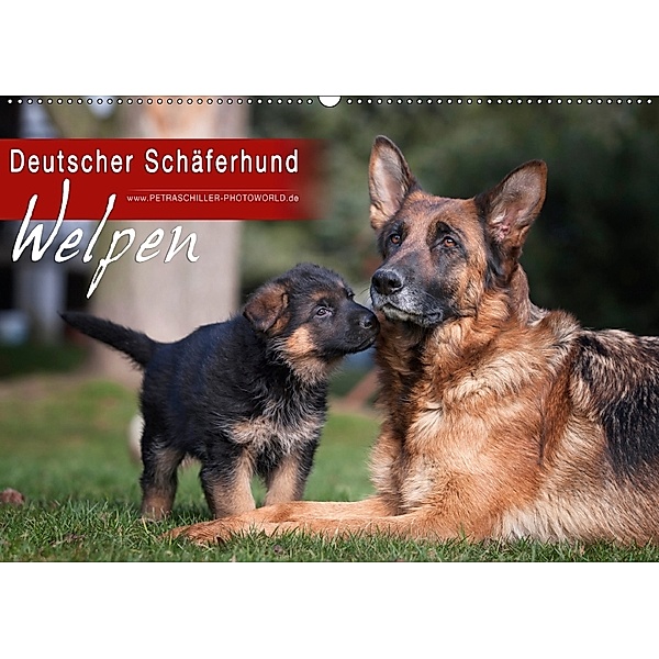 Deutscher Schäferhund - Welpen (Wandkalender 2018 DIN A2 quer), Petra Schiller