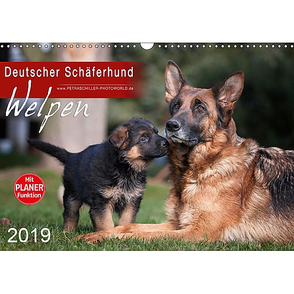 Deutscher Schäferhund - Welpen (Wandkalender 2019 DIN A3 quer), Petra Schiller