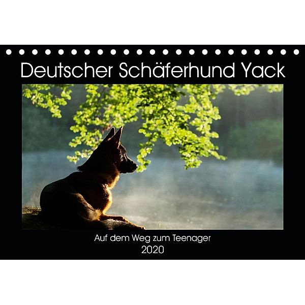 Deutscher Schäferhund Yack - Auf dem Weg zum Teenager (Tischkalender 2020 DIN A5 quer), Petra Schiller