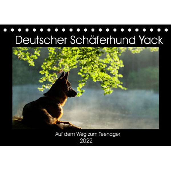 Deutscher Schäferhund Yack - Auf dem Weg zum Teenager (Tischkalender 2022 DIN A5 quer), Petra Schiller