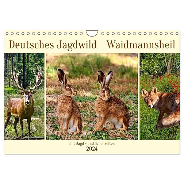 Deutsches Jagdwild - Waidmannsheil (Wandkalender 2024 DIN A4 quer), CALVENDO Monatskalender, Claudia Kleemann