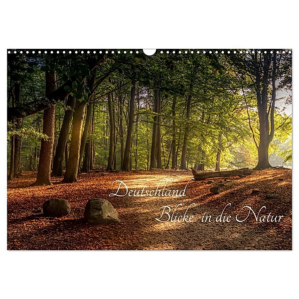Deutschland Blicke in die Natur (Wandkalender 2025 DIN A3 quer), CALVENDO Monatskalender, Calvendo, Renee Söhner
