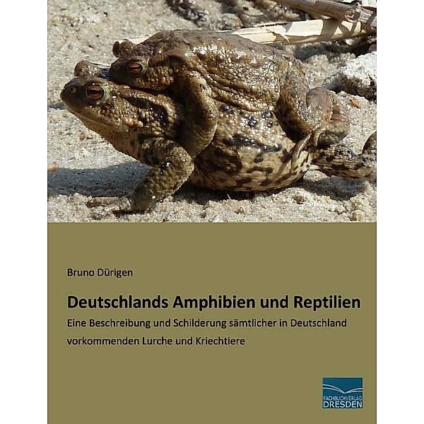 Deutschlands Amphibien und Reptilien, Bruno Dürigen