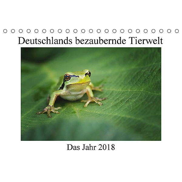 Deutschlands bezaubernde Tierwelt (Tischkalender 2018 DIN A5 quer), Björn Reibert