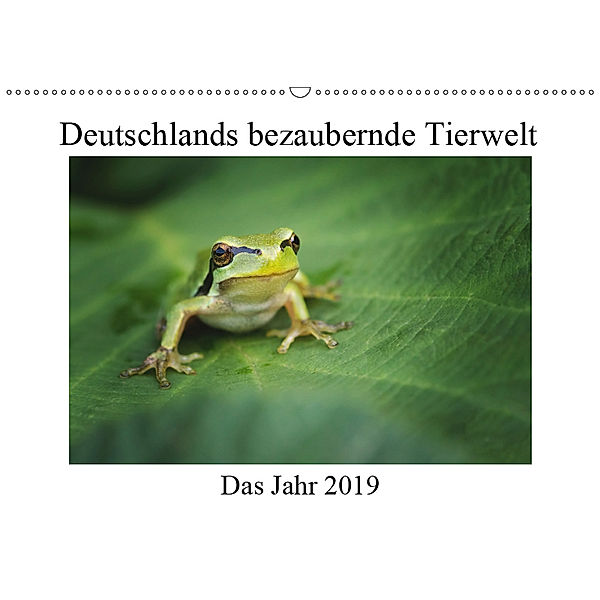 Deutschlands bezaubernde Tierwelt (Wandkalender 2019 DIN A2 quer), Björn Reibert