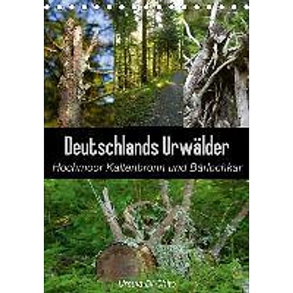 Deutschlands Urwälder - Hochmoor Kaltenbronn und Bärlochkar (Tischkalender 2015 DIN A5 hoch), Ursula Di Chito