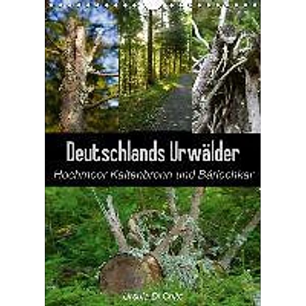 Deutschlands Urwälder - Hochmoor Kaltenbronn und Bärlochkar (Wandkalender 2015 DIN A4 hoch), Ursula Di Chito