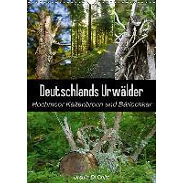 Deutschlands Urwälder - Hochmoor Kaltenbronn und Bärlochkar (Wandkalender 2015 DIN A3 hoch), Ursula Di Chito