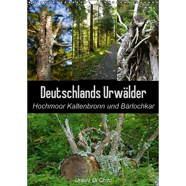 Deutschlands Urwälder - Hochmoor Kaltenbronn und Bärlochkar (Wandkalender 2016 DIN A3 hoch), Ursula Di Chito