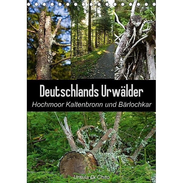 Deutschlands Urwälder - Hochmoor Kaltenbronn und Bärlochkar (Tischkalender 2017 DIN A5 hoch), Ursula Di Chito