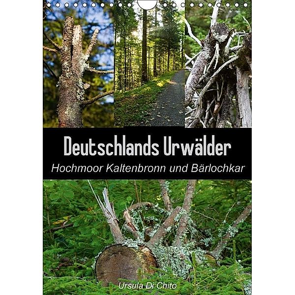 Deutschlands Urwälder - Hochmoor Kaltenbronn und Bärlochkar (Wandkalender 2017 DIN A4 hoch), Ursula Di Chito