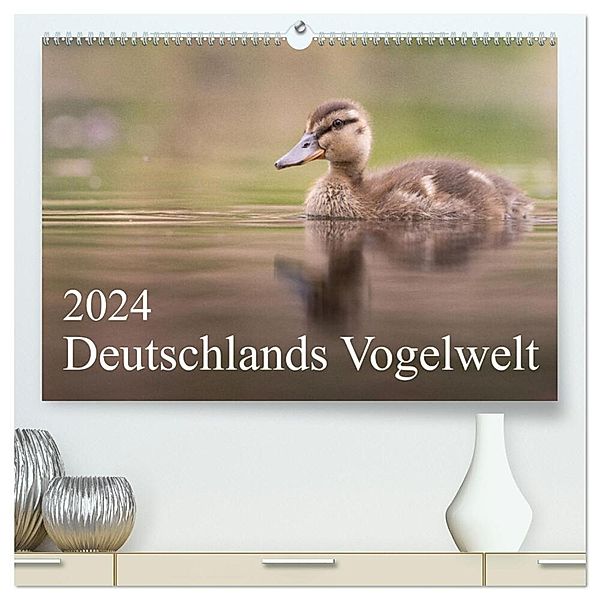 Deutschlands Vogelwelt (hochwertiger Premium Wandkalender 2024 DIN A2 quer), Kunstdruck in Hochglanz, Thies Wiechert